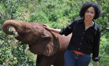 Live Chat with Elephant Activist Paula Kahumbu